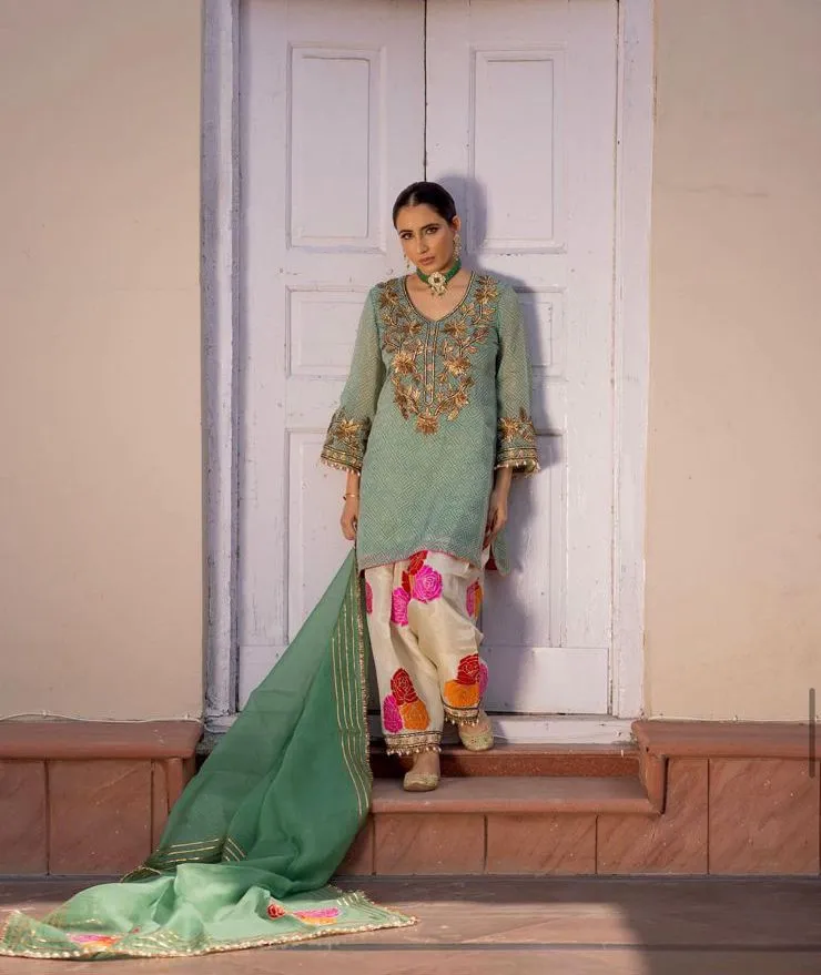 Beautiful Designer Pure Viscose Organza Digital Print Suite