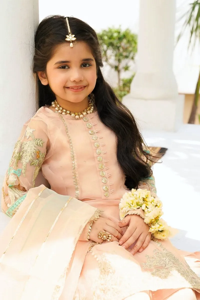 HEM Girls Pakistani Wedding Wear HEM01