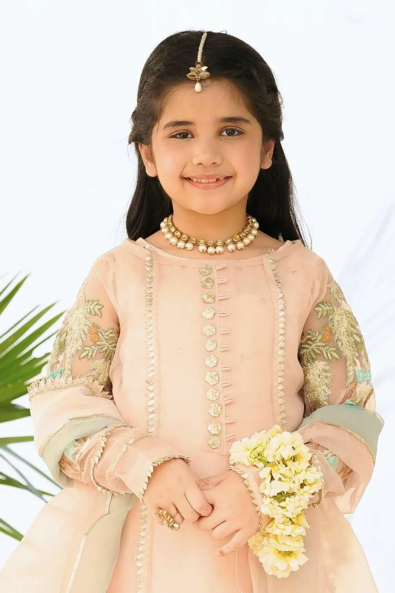 HEM Girls Pakistani Wedding Wear HEM01
