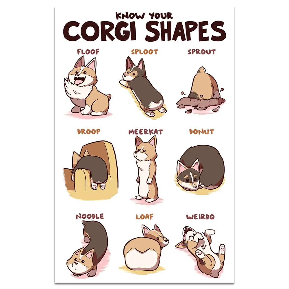 Know Your Corgi Shapes Shirts and Posters