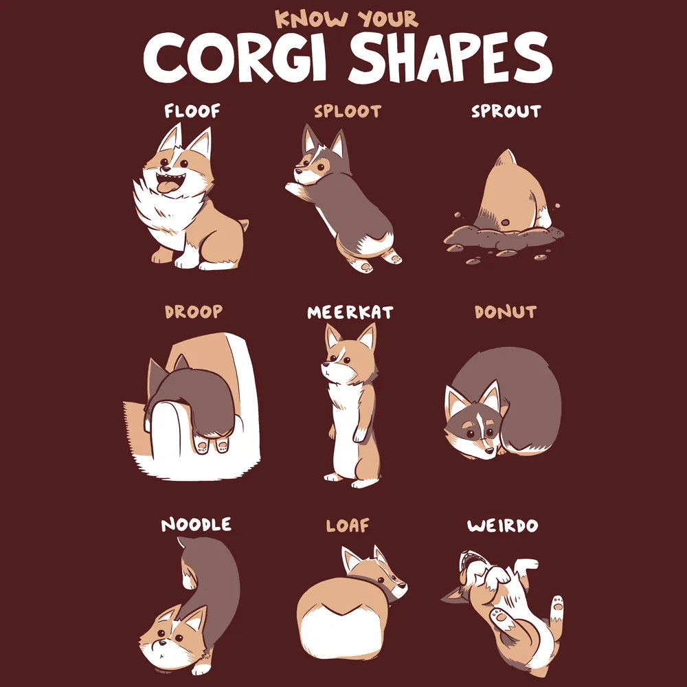 Know Your Corgi Shapes Shirts and Posters